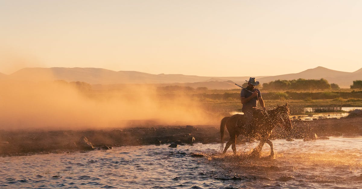 découvrez les solutions de stockage western digital : disques durs, ssd et accessoires fiables pour sécuriser et optimiser vos données.