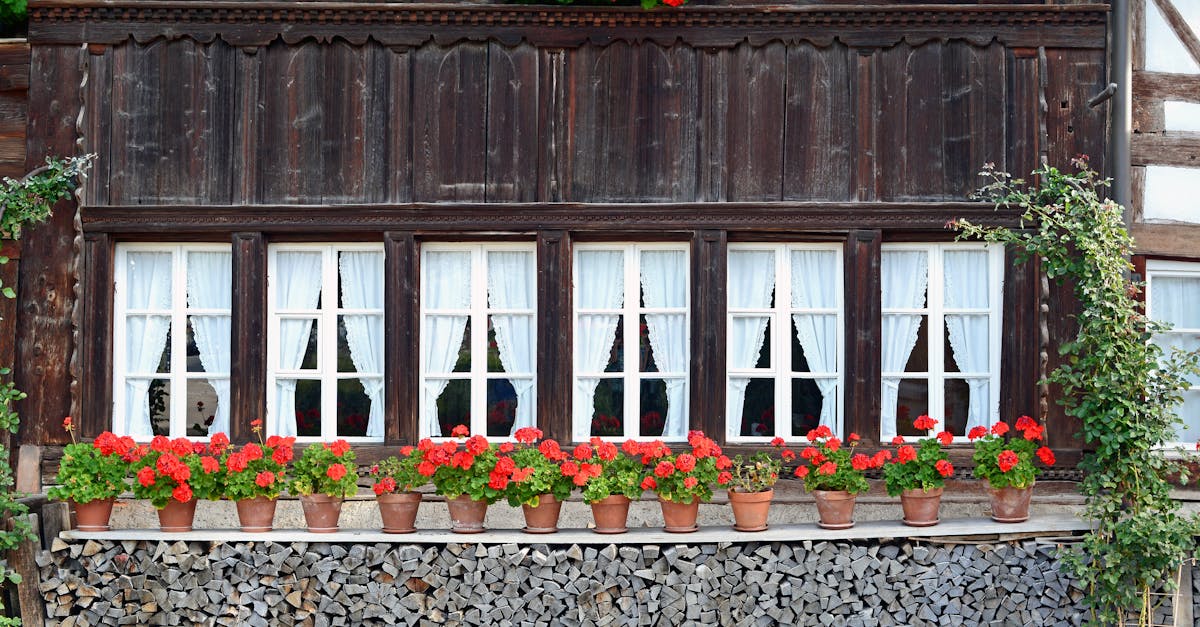 découvrez comment effectuer la mise à niveau vers windows 11 facilement et profitez des dernières fonctionnalités pour améliorer votre expérience utilisateur.