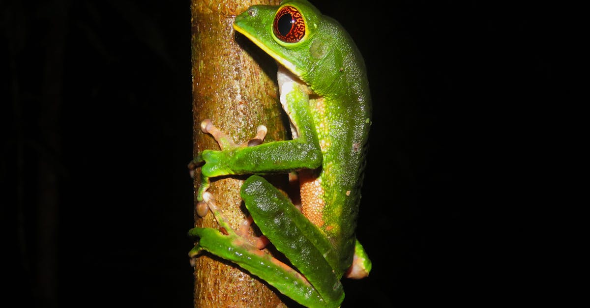 découvrez amazon prime, le service d'abonnement qui vous offre livraison rapide, accès à des films et séries en streaming, musique, et bien plus encore.