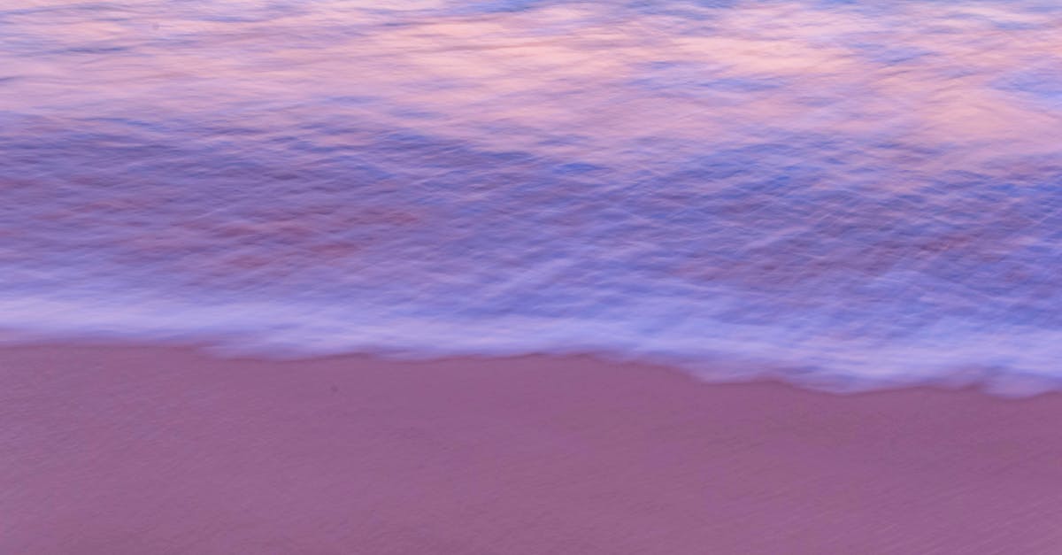 bluefiles est une plateforme innovante qui facilite la gestion, le stockage et le partage sécurisé de vos fichiers numériques en toute simplicité.