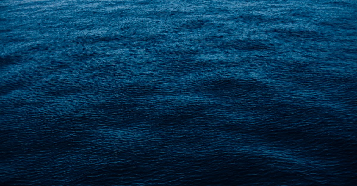 bluefiles : votre solution fiable pour la gestion sécurisée et efficace de vos documents numériques.