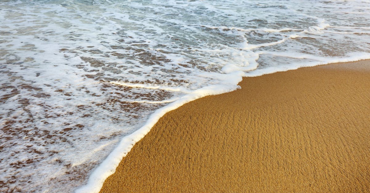 bluefiles : une plateforme innovante pour le stockage et le partage sécurisé de vos fichiers en ligne.