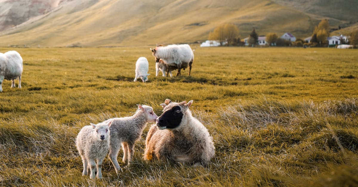 découvrez nos offres de bonus exclusives pour maximiser vos avantages et profiter pleinement de nos services.