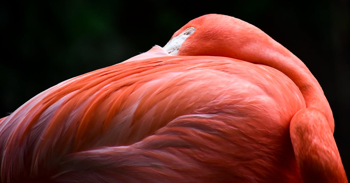 explorez l’impact environnemental de chatgpt, en analysant la consommation énergétique et les initiatives pour réduire son empreinte carbone.