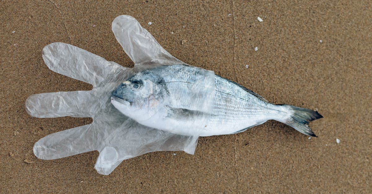 analyse de l'impact environnemental de chatgpt, comprenant la consommation énergétique et les implications écologiques liées à son utilisation.