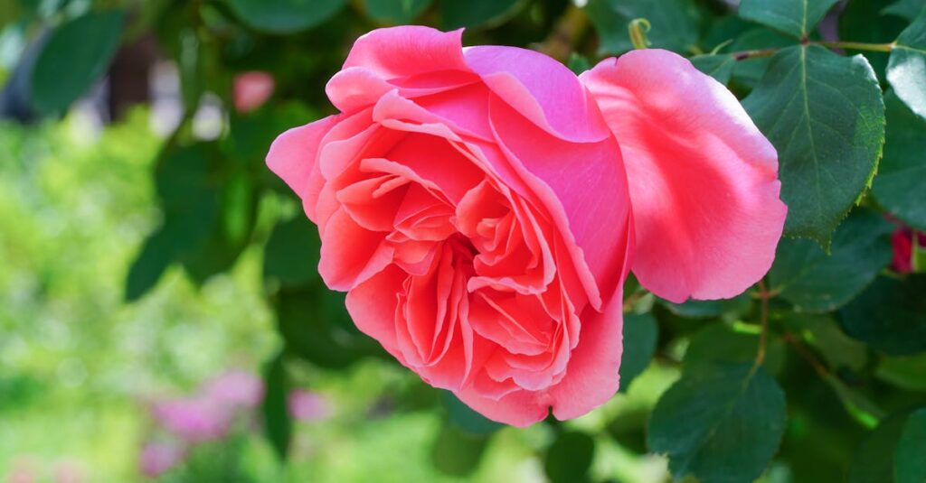 découvrez fuchsia os, le système d'exploitation innovant de google conçu pour une performance optimisée et une grande compatibilité sur tous vos appareils.