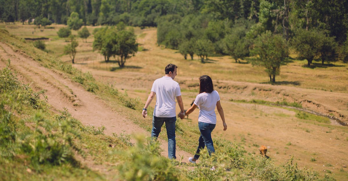 découvrez tout sur le gan (réseau antagoniste génératif), une technologie d'intelligence artificielle révolutionnaire utilisée pour générer des images, vidéos et données réalistes.