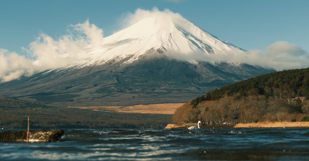 hadrian x : découvrez la technologie innovante de construction robotisée pour des bâtiments précis et rapides.