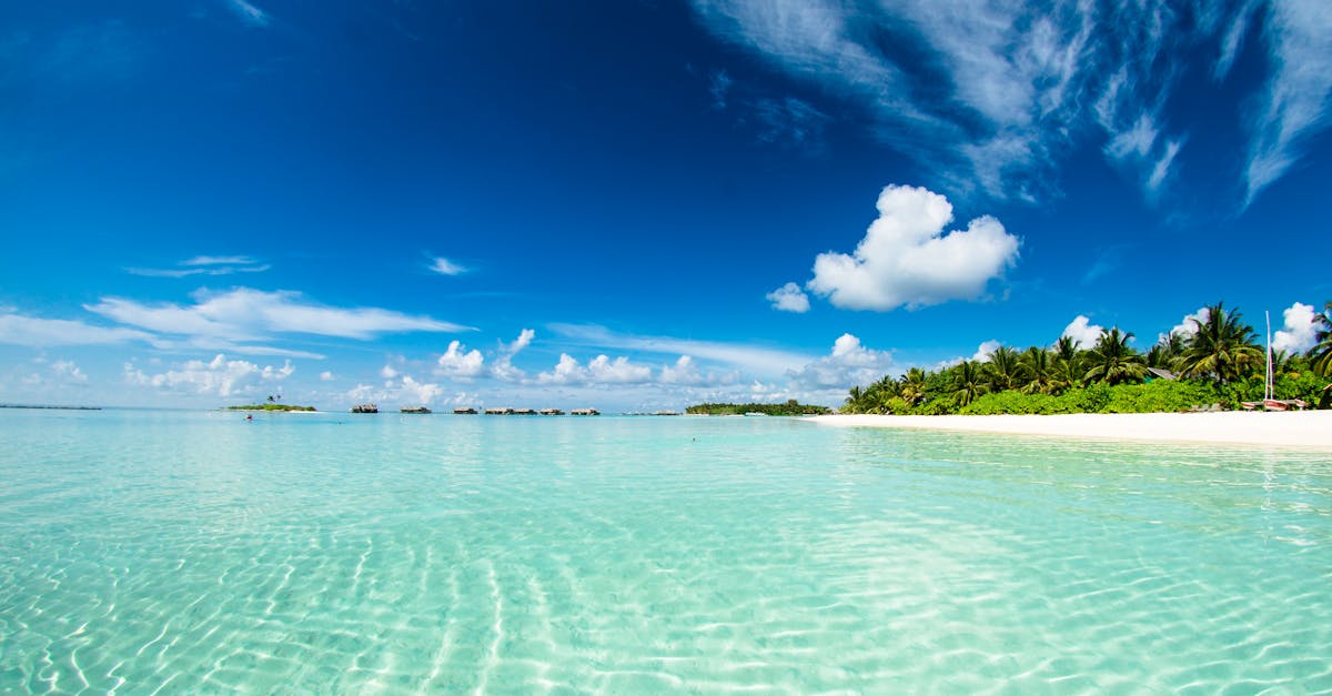 découvrez microsoft azure, la plateforme cloud innovante de microsoft offrant des solutions complètes pour le développement, le déploiement et la gestion d'applications à grande échelle.