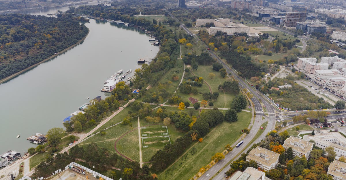 découvrez les meilleurs émulateurs nintendo switch pour jouer à vos jeux préférés sur pc avec une expérience fluide et optimisée.