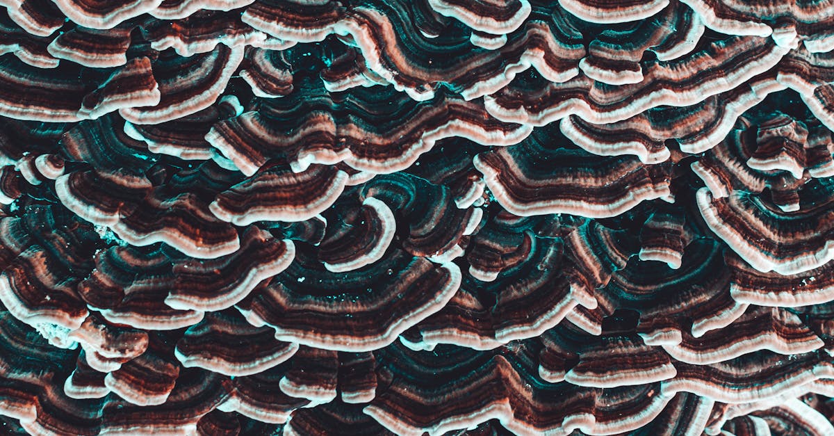 découvrez tout ce qu'il faut savoir sur les pannes et coupures de service, leurs causes, impacts et solutions pour mieux y faire face.