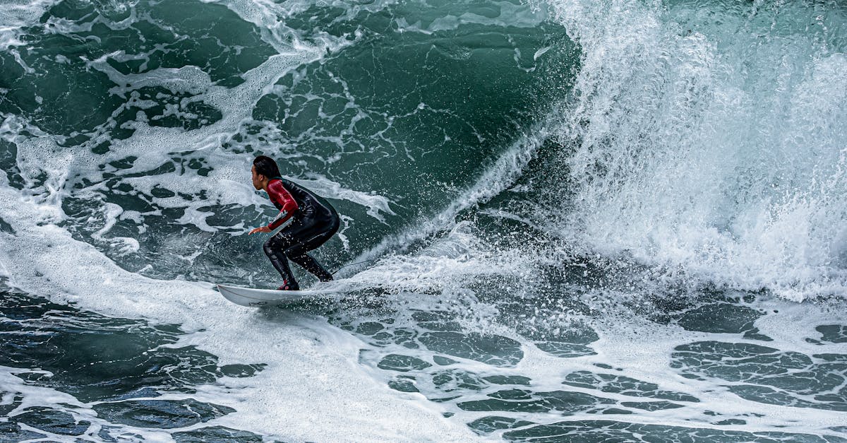 découvrez les causes courantes des crashes dans silksong et comment les résoudre pour profiter d'une expérience de jeu fluide et sans interruptions.