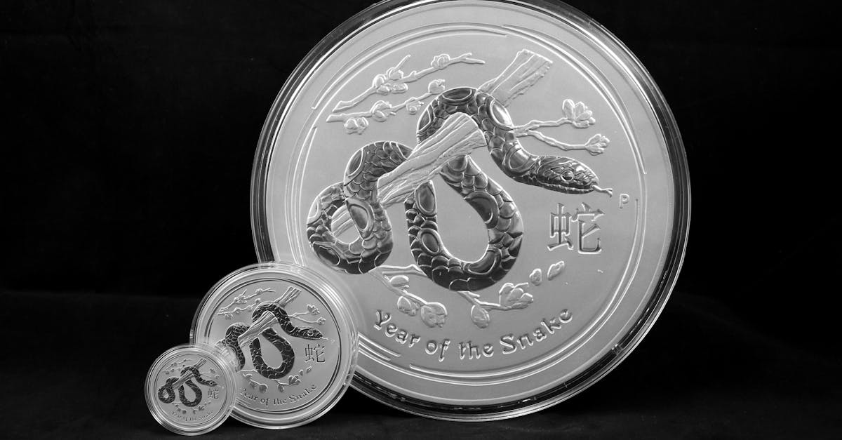 découvrez les significations, caractéristiques et compatibilités des signes du zodiaque pour mieux comprendre votre personnalité et celle des autres.