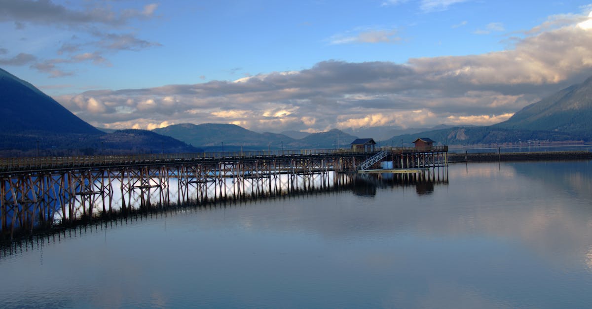 découvrez l'architecture arm, une technologie de microprocesseur efficace et performante, largement utilisée dans les systèmes embarqués et les appareils mobiles.