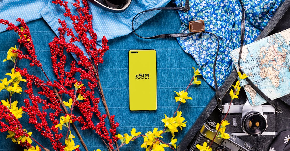 découvrez la meilleure esim pour voyager au japon : connectivité rapide, facile à activer et tarifs avantageux pour un séjour sans souci.