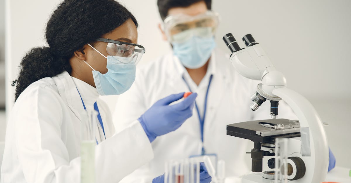 analyse de l'utilisation de chatgpt : découvrez comment optimiser et tirer parti des fonctionnalités avancées de l'ia conversationnelle.