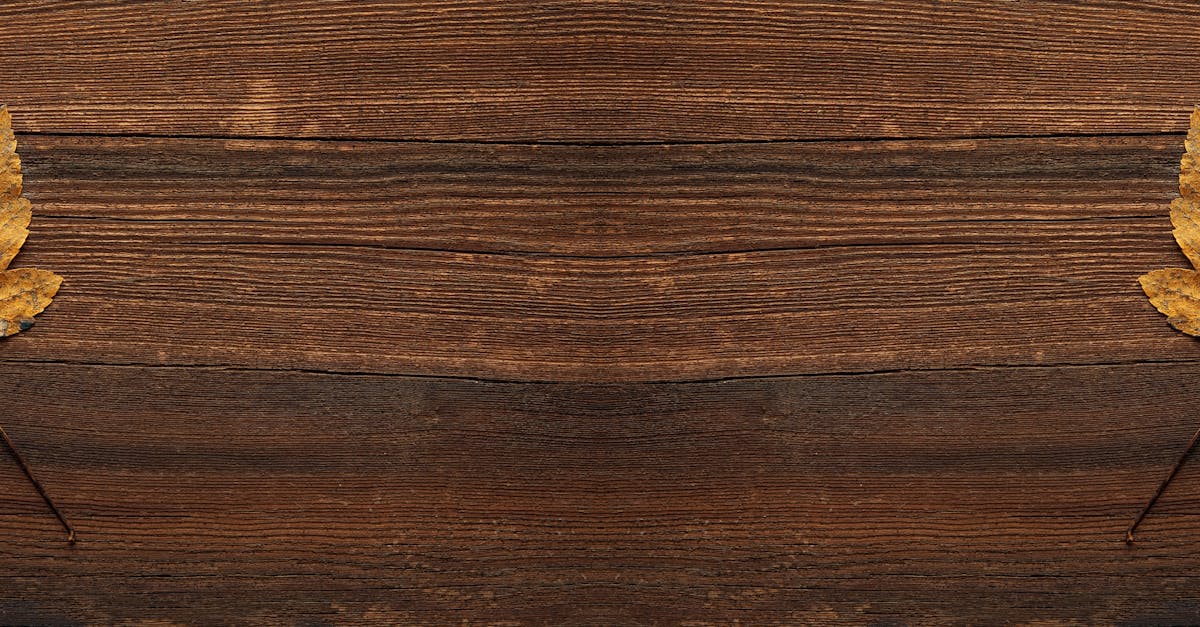 découvrez d4vd, un artiste talentueux qui mélange émotions et mélodies uniques pour une expérience musicale inoubliable.