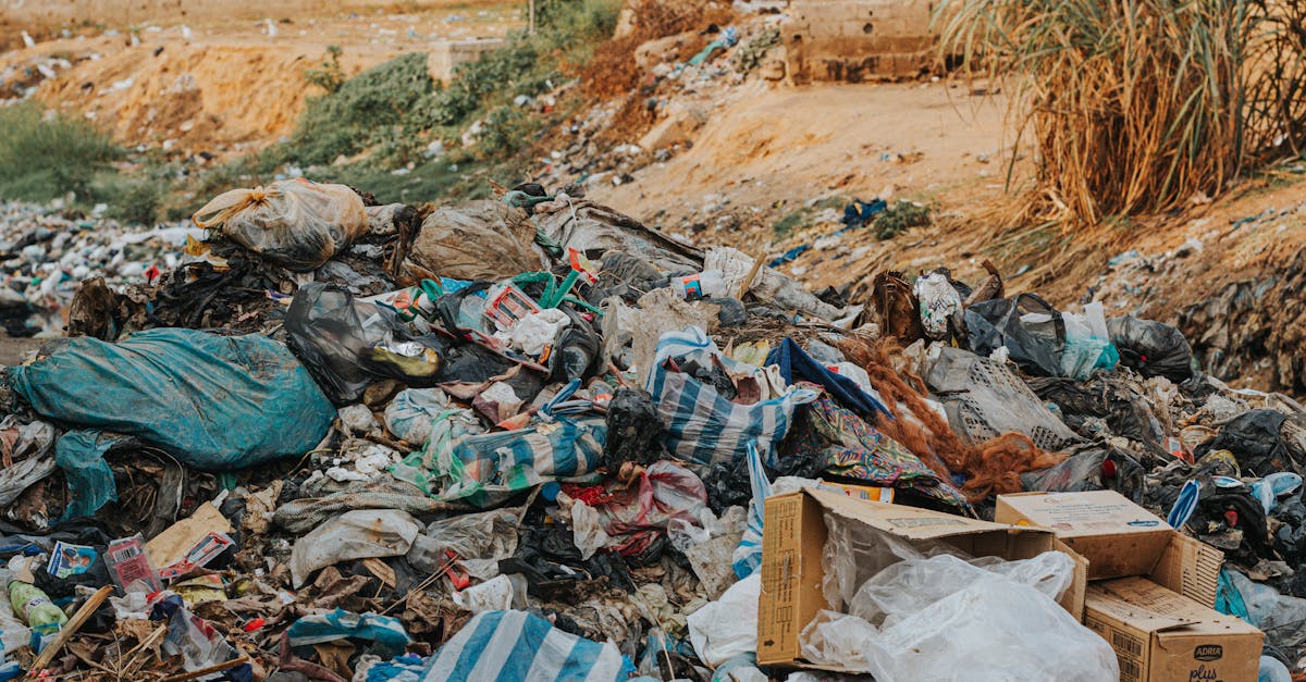 découvrez les principaux défis environnementaux mondiaux et les solutions pour préserver notre planète pour les générations futures.