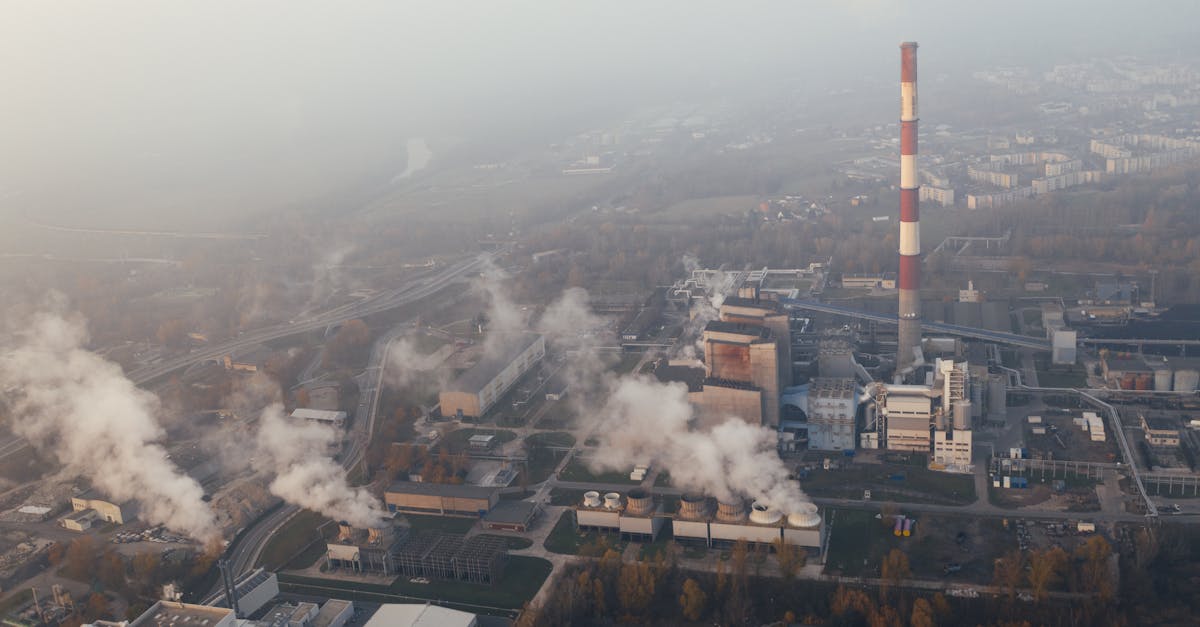 découvrez les principaux défis environnementaux actuels et les solutions pour préserver notre planète face au changement climatique, à la pollution et à la perte de biodiversité.