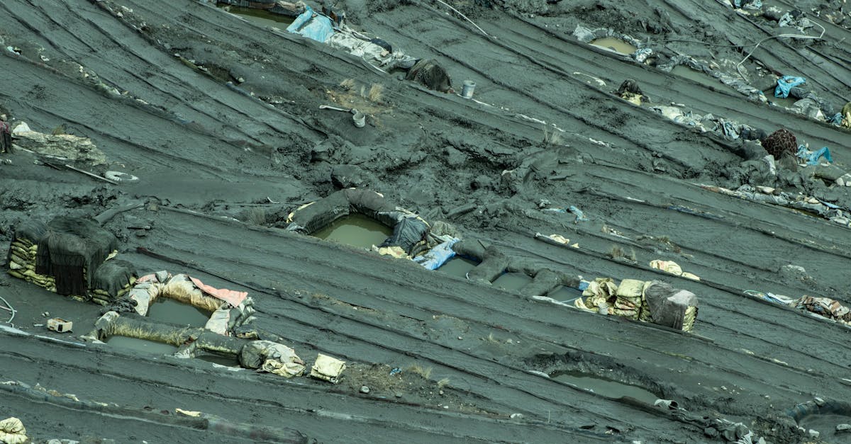 découvrez les principaux défis environnementaux actuels, leurs impacts sur notre planète et les solutions pour un avenir durable.