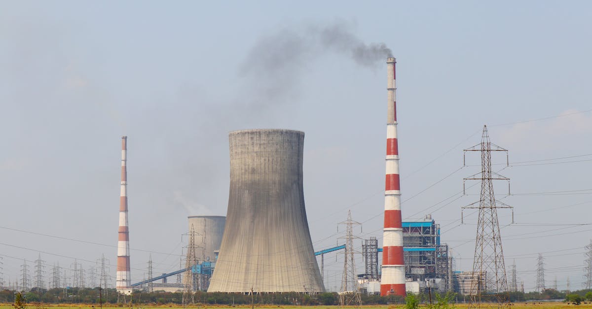 découvrez les principaux défis environnementaux actuels, leurs impacts sur la planète et les solutions possibles pour un avenir durable.