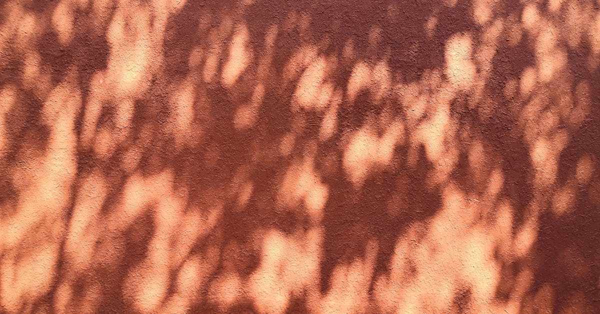 facetune est une application de retouche photo qui permet d'embellir facilement vos portraits en améliorant la peau, les traits du visage et plus encore pour des selfies parfaits.