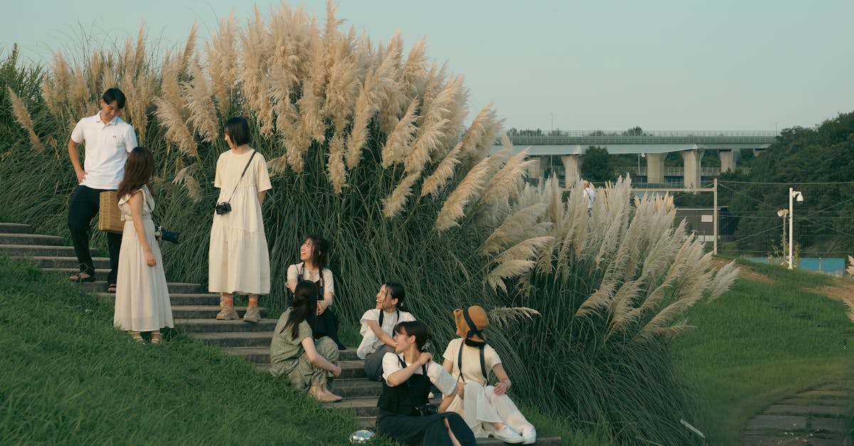 découvrez une adaptation unique du seigneur des anneaux inspirée par le style enchanteur des films ghibli, alliant magie et aventure épique.