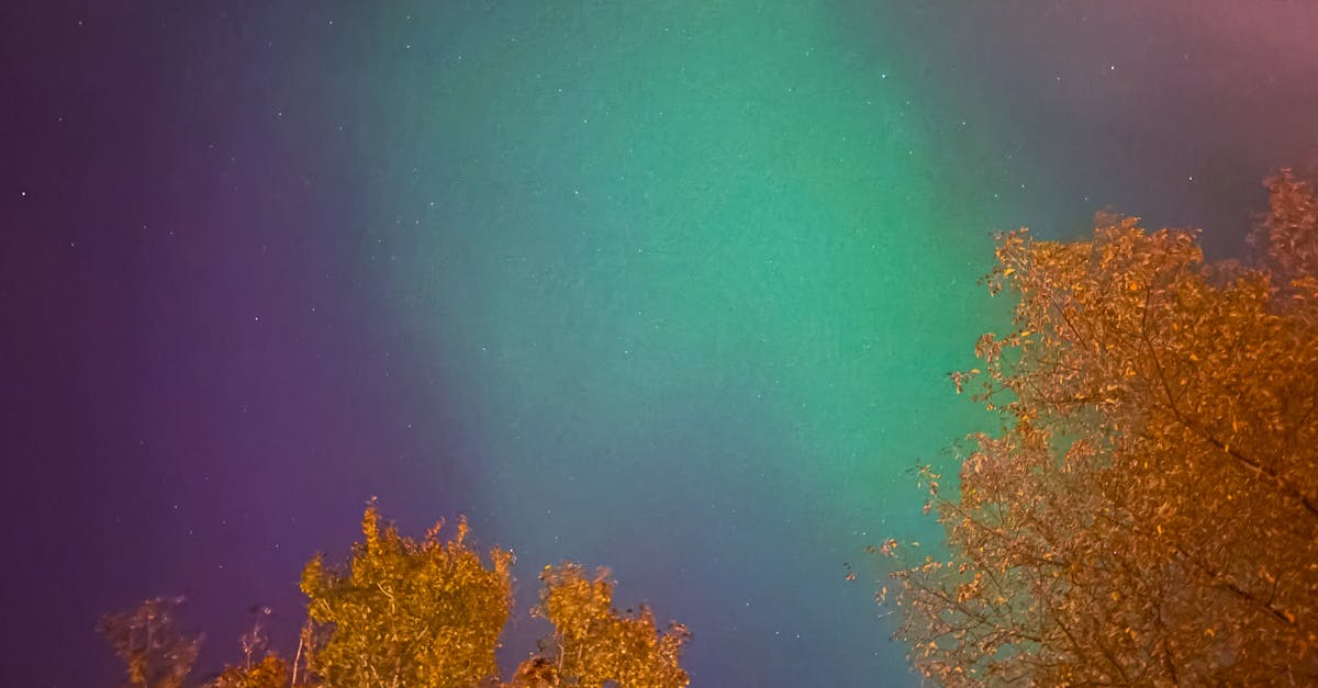 découvrez green sky, une expérience unique qui allie nature et innovation pour un avenir plus vert et plus serein.