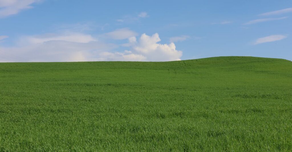 découvrez green sky, un univers où la nature et l'innovation se rencontrent pour un avenir plus vert et durable.