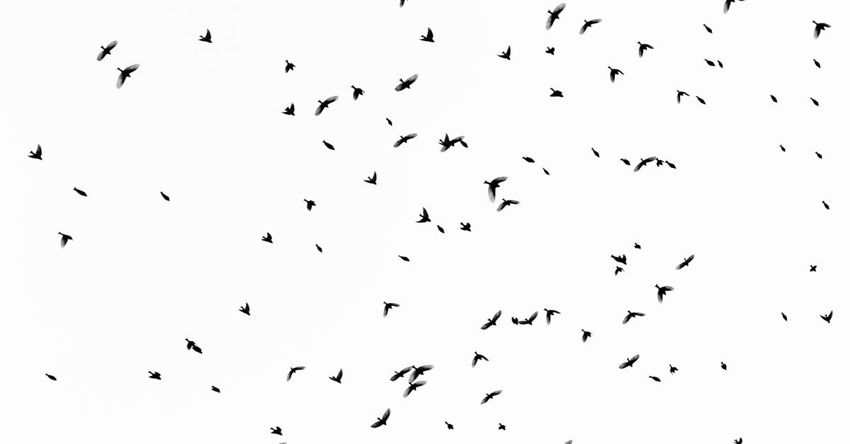 découvrez notre revue complète de heygen, une plateforme innovante pour créer des vidéos personnalisées avec intelligence artificielle. fonctionnalités, avantages et avis d'utilisateurs détaillés.