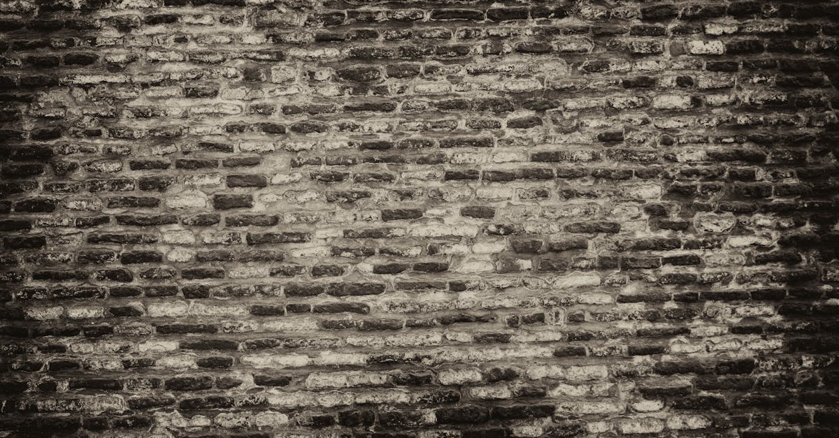 internxt est une solution cloud innovante qui garantit sécurité, confidentialité et accessibilité pour vos fichiers en ligne.