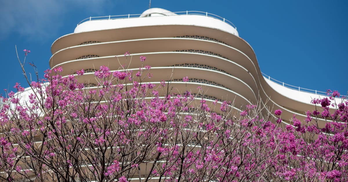 découvrez tout ce qu'il faut savoir sur les adresses ip : définition, types, fonctionnement et comment elles permettent l'identification des appareils sur internet.