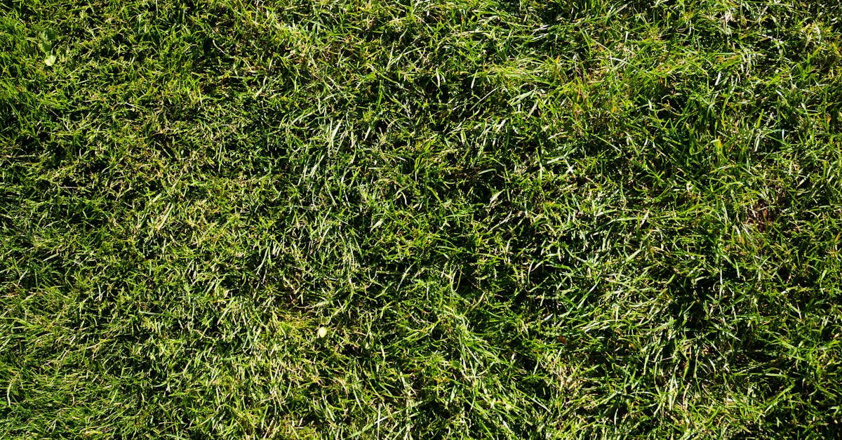 découvrez pourquoi les chaînes iptv de football disparaissent et comment cela impacte la diffusion des matchs en streaming.