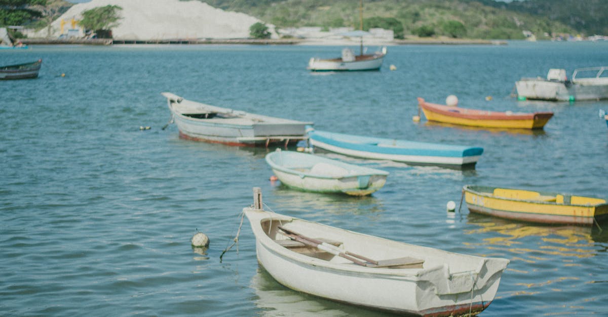 découvrez tout sur le format jpg : caractéristiques, avantages, utilisations et conseils pour optimiser vos images numériques en format jpeg.