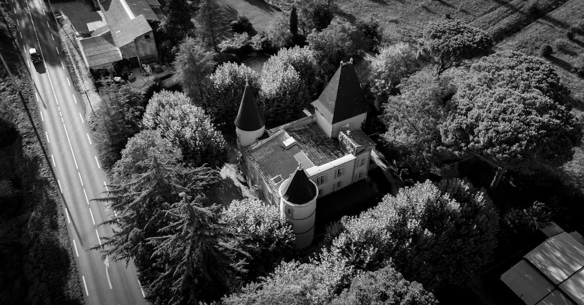 découvrez tout sur le format jpg : ses caractéristiques, avantages et utilisations courantes pour la compression et le stockage d'images numériques.