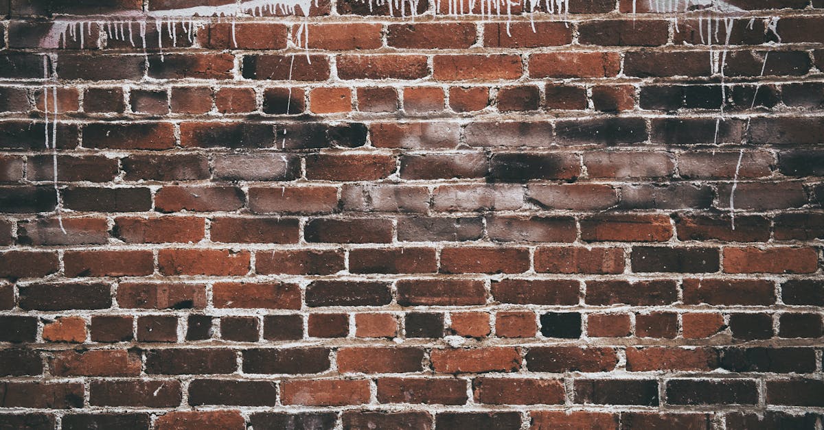 découvrez tout ce qu'il faut savoir sur les poursuites judiciaires, leurs procédures, et les droits des parties impliquées dans un procès.