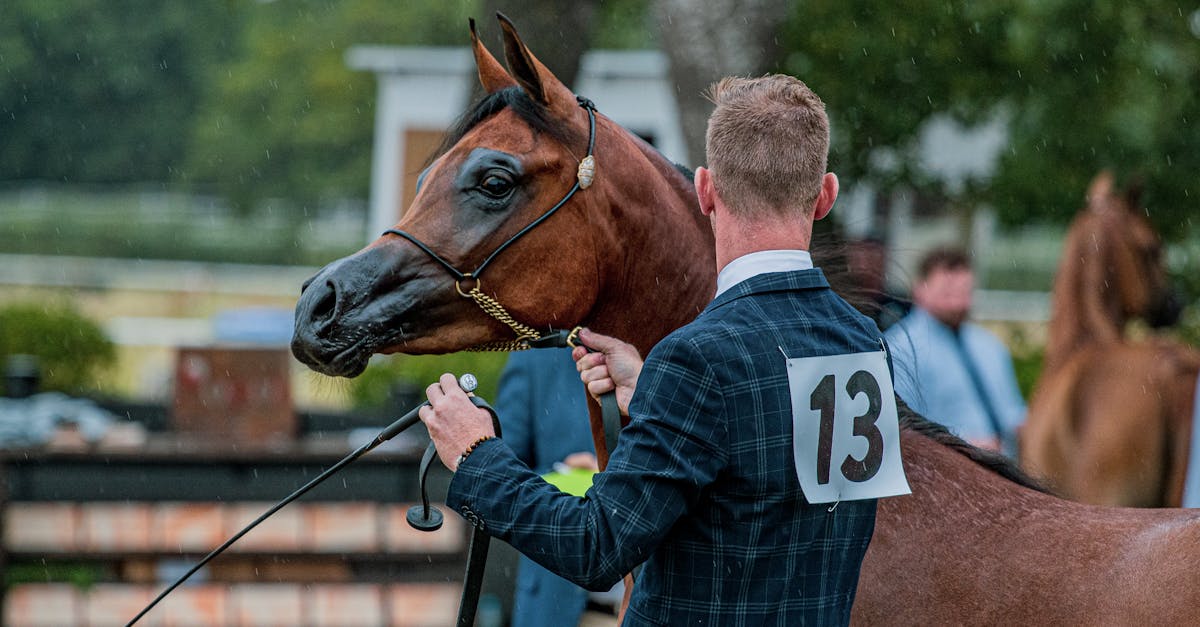 participez au concours leclerc fruits et légumes et tentez de gagner de nombreux prix en valorisant la qualité et la fraîcheur des produits.