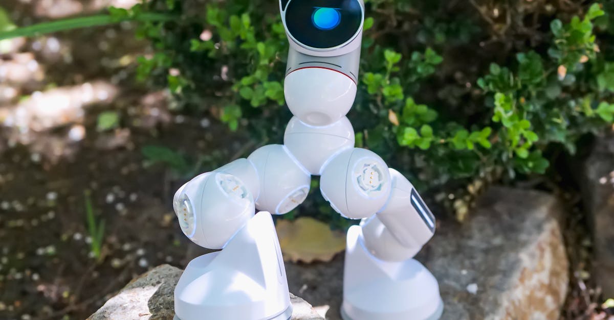 découvrez le machine learning, une branche de l'intelligence artificielle qui permet aux machines d'apprendre à partir des données pour prendre des décisions intelligentes et automatiser des tâches complexes.