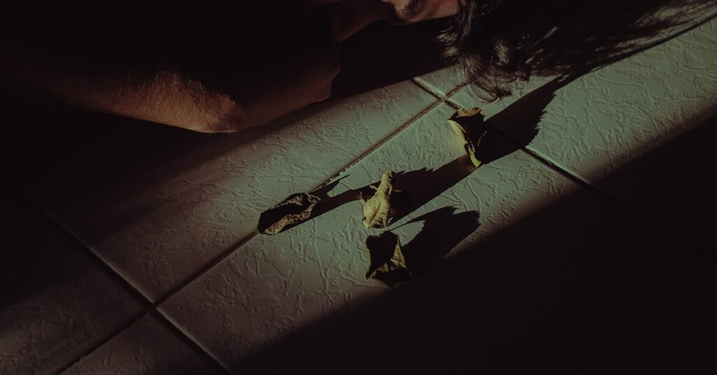 découvrez oblivion remastered, la version améliorée du célèbre jeu de rôle avec des graphismes revus, une jouabilité optimisée et une expérience immersive inégalée.