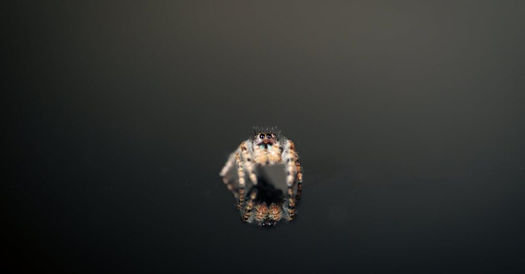 openai-ia-strawberry : comment cette technologie révolutionne l’entraînement d’orion gpt-5 découvrez openai, leader en intelligence artificielle, offrant des solutions innovantes pour transformer la technologie et améliorer la vie quotidienne.