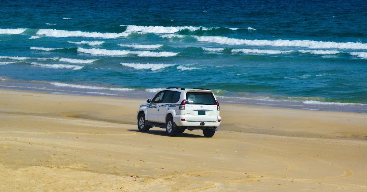 pcloud drive est un service de stockage en ligne sécurisé qui vous permet d'accéder facilement à vos fichiers depuis n'importe quel appareil, avec une synchronisation rapide et un espace cloud flexible.