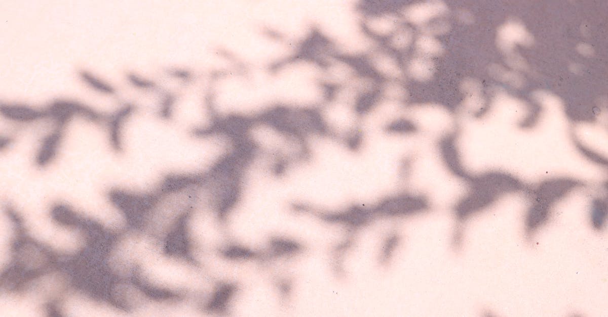 découvrez pgp, une méthode de cryptographie efficace pour sécuriser vos communications et protéger vos données personnelles contre les accès non autorisés.