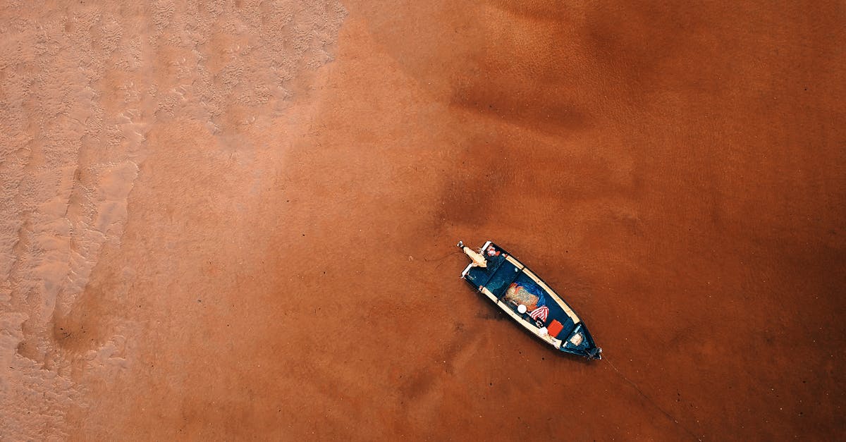 découvrez tout ce qu'il faut savoir sur la piraterie, ses impacts légaux et économiques, ainsi que les moyens de prévention et de lutte contre ce phénomène mondial.