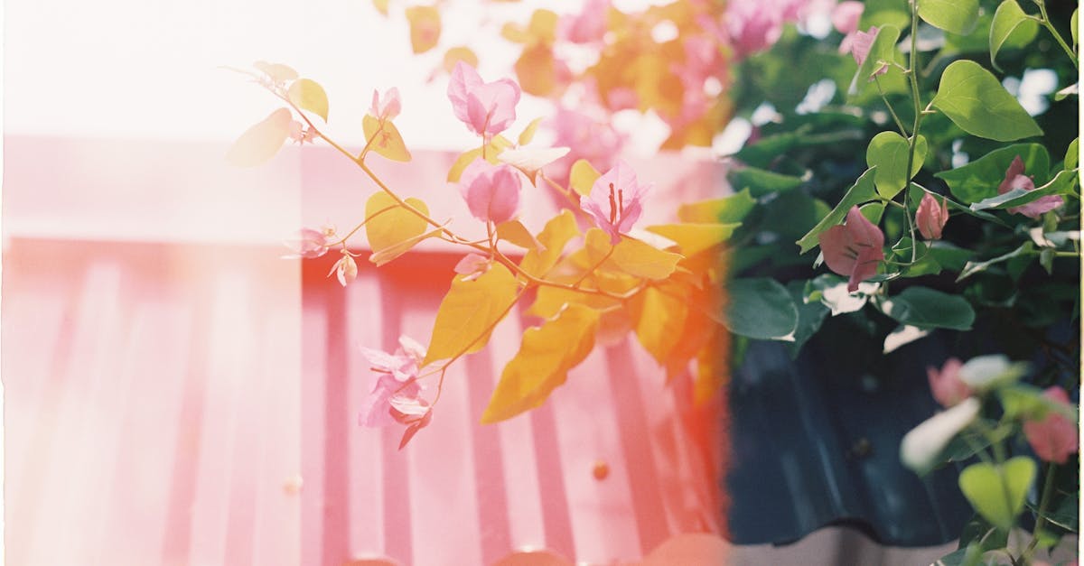 découvrez les dernières fuites et informations exclusives sur pokémon avant tout le monde. restez à jour avec les nouveautés et secrets dévoilés !