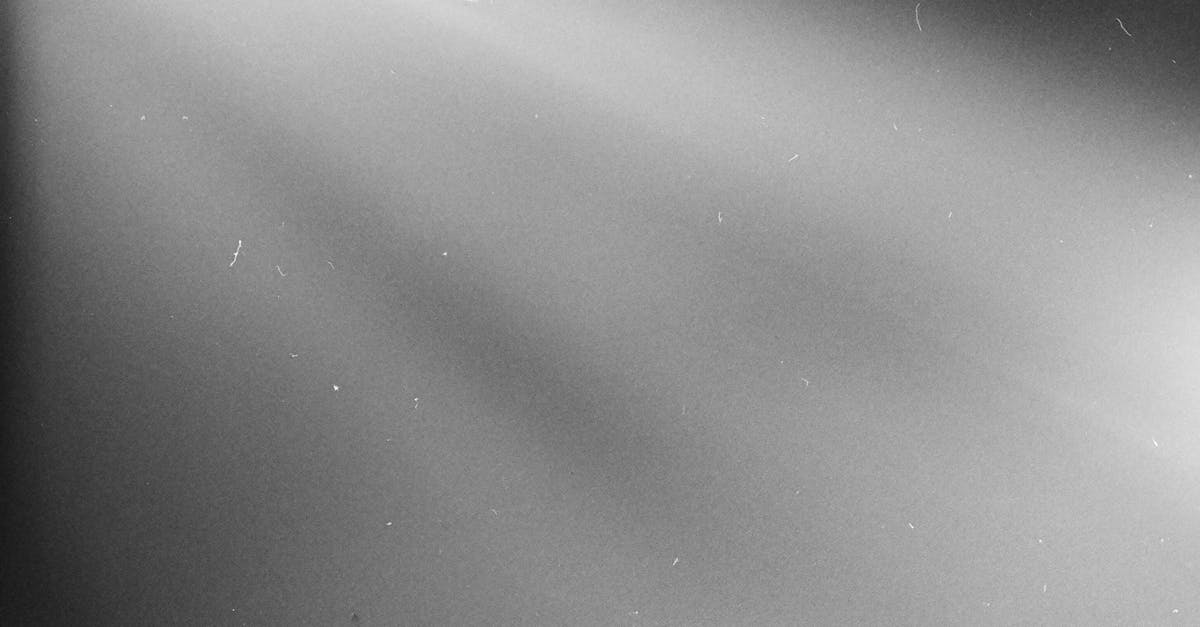 découvrez les dernières fuites et informations exclusives sur pokémon avant leur sortie officielle.