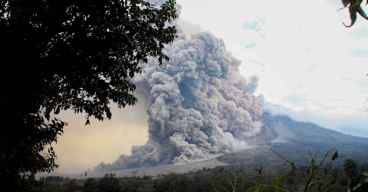 découvrez les fonctionnalités clés de power bi pour analyser vos données, créer des rapports interactifs et prendre des décisions éclairées rapidement.