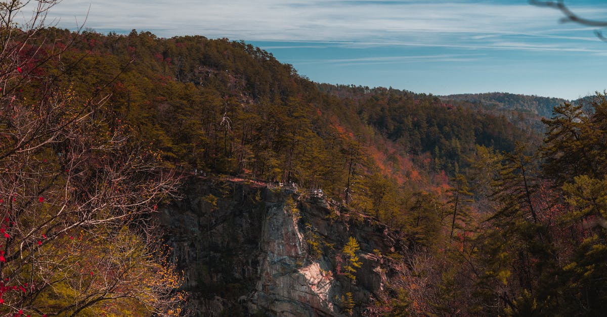 découvrez le nouveau samsung galaxy s25, un smartphone alliant performance exceptionnelle, design élégant et technologie de pointe pour une expérience utilisateur inégalée.