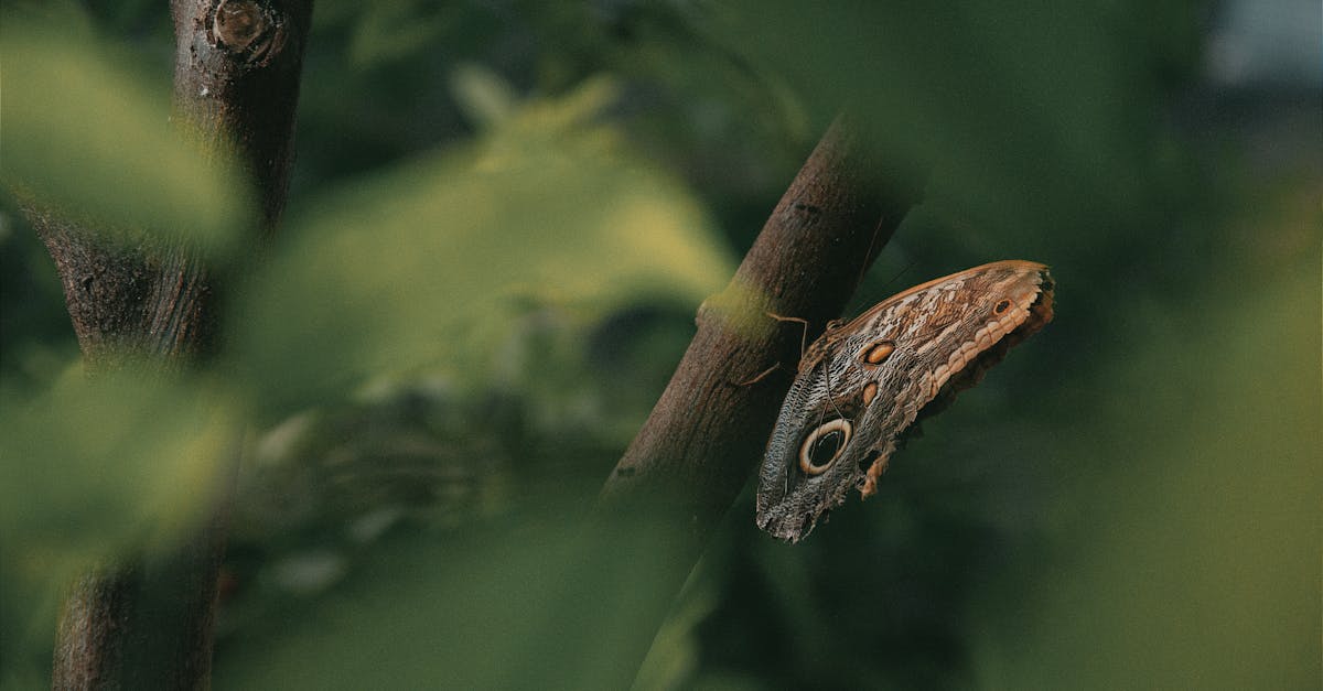 découvrez le samsung galaxy s25 plus, le smartphone haut de gamme alliant performance exceptionnelle, écran lumineux et fonctionnalités innovantes pour une expérience mobile incomparable.