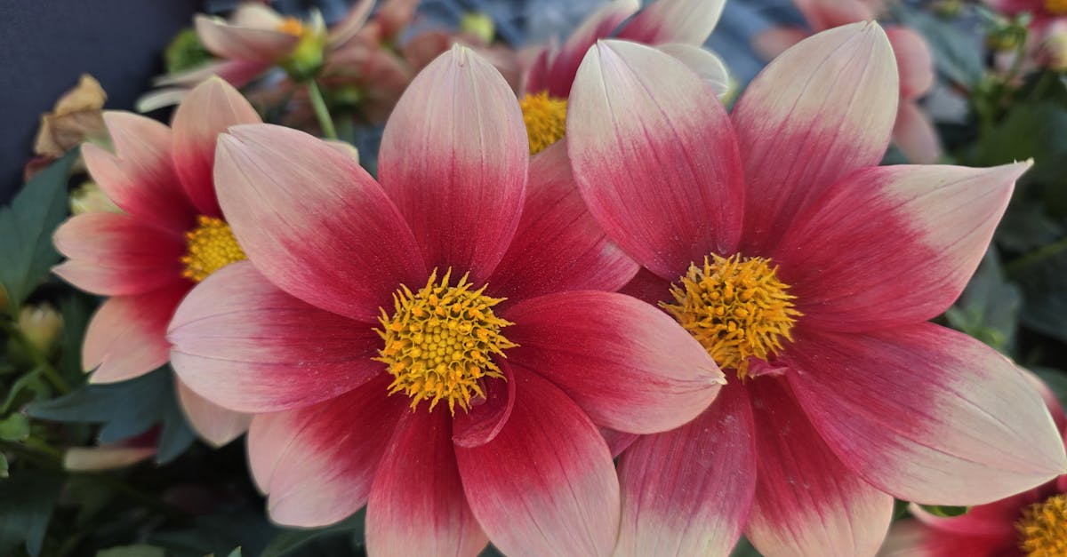 découvrez les dernières fuites et rumeurs sur le samsung galaxy s25 ultra : caractéristiques, design, date de sortie et innovations attendues.