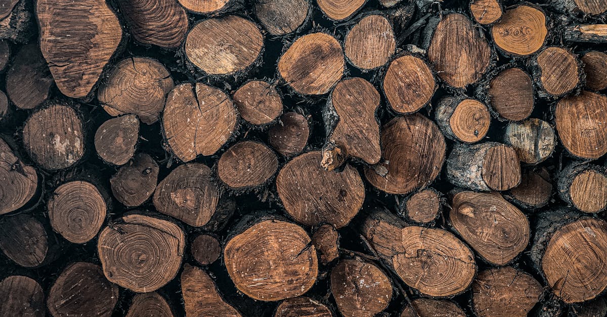 découvrez les dernières fuites détaillées du samsung galaxy s25 ultra : caractéristiques, design, et fonctionnalités innovantes à venir.